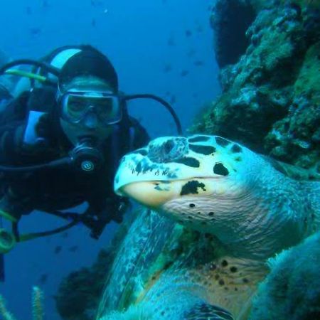 Nirvana Bamboo Houses & Dive Resort Moalboal Εξωτερικό φωτογραφία