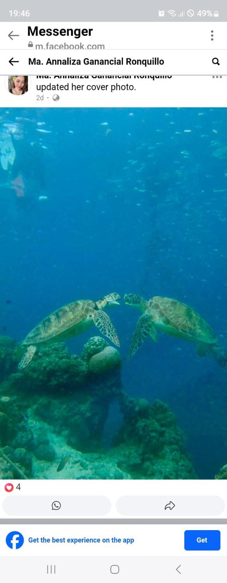 Nirvana Bamboo Houses & Dive Resort Moalboal Εξωτερικό φωτογραφία