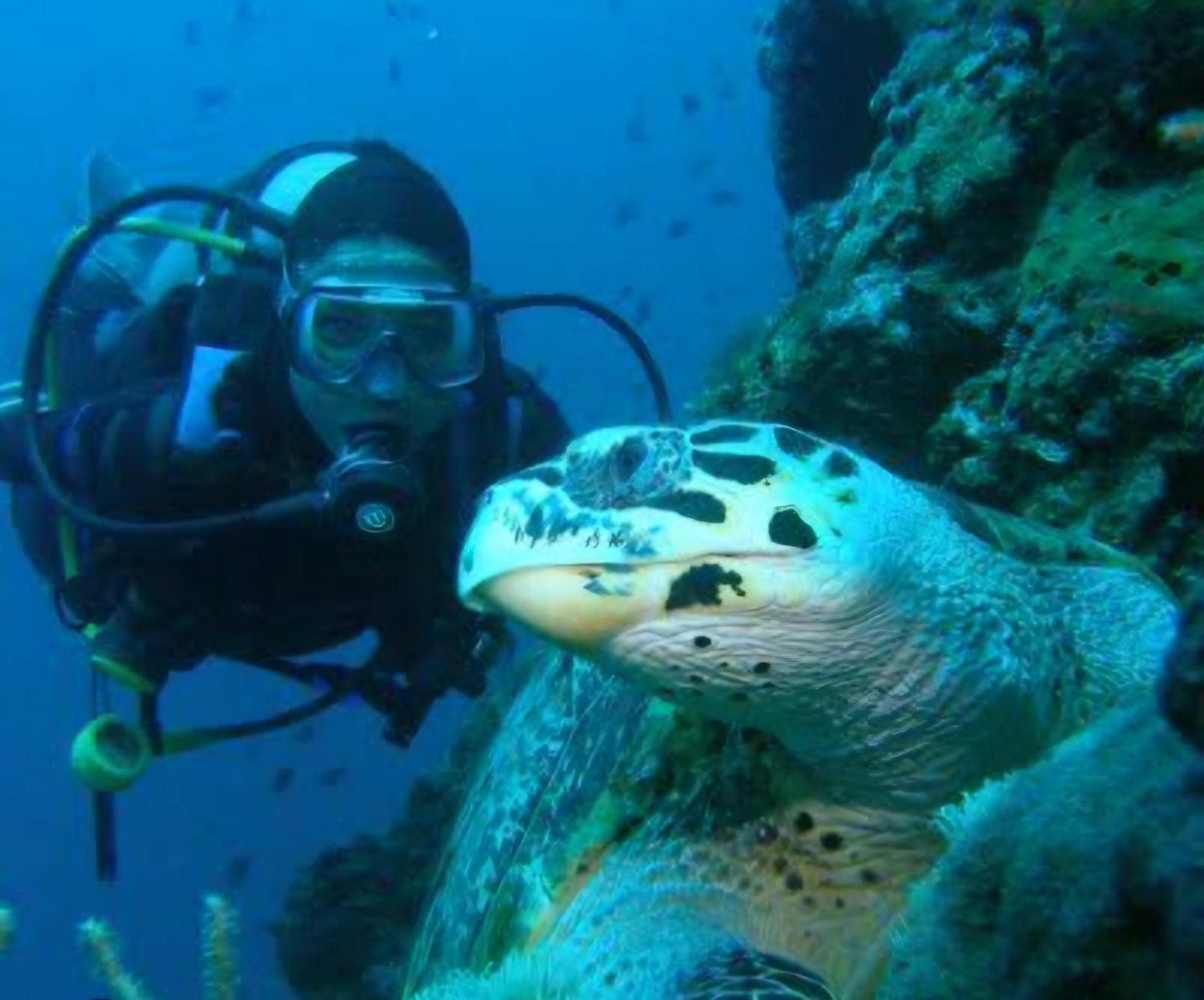 Nirvana Bamboo Houses & Dive Resort Moalboal Εξωτερικό φωτογραφία
