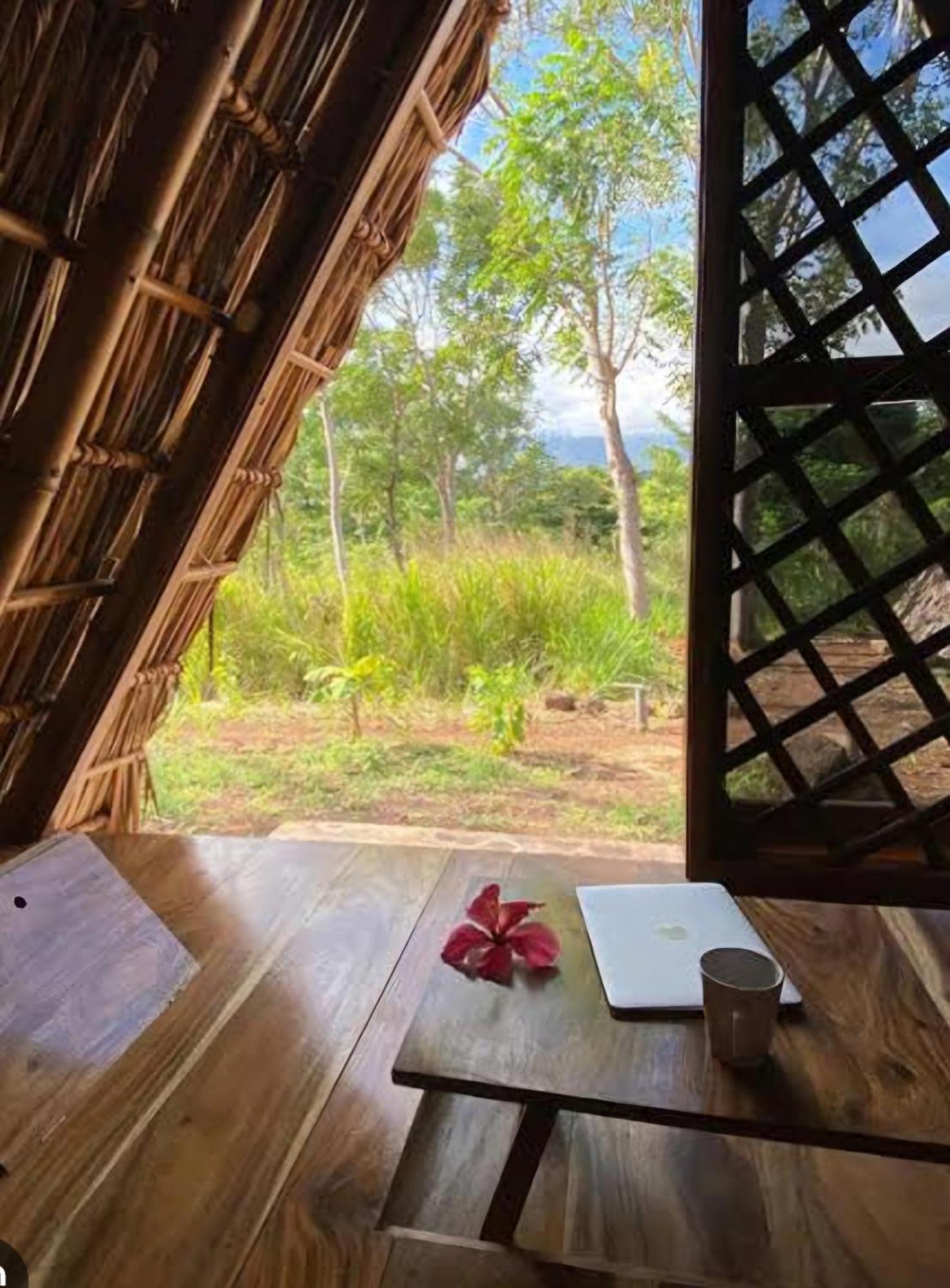 Nirvana Bamboo Houses & Dive Resort Moalboal Εξωτερικό φωτογραφία